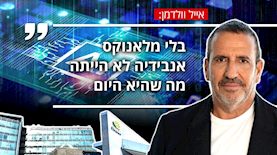 אייל וולדמן ציטוט מלאנוקס, צילום: Shutterstock, יחצ